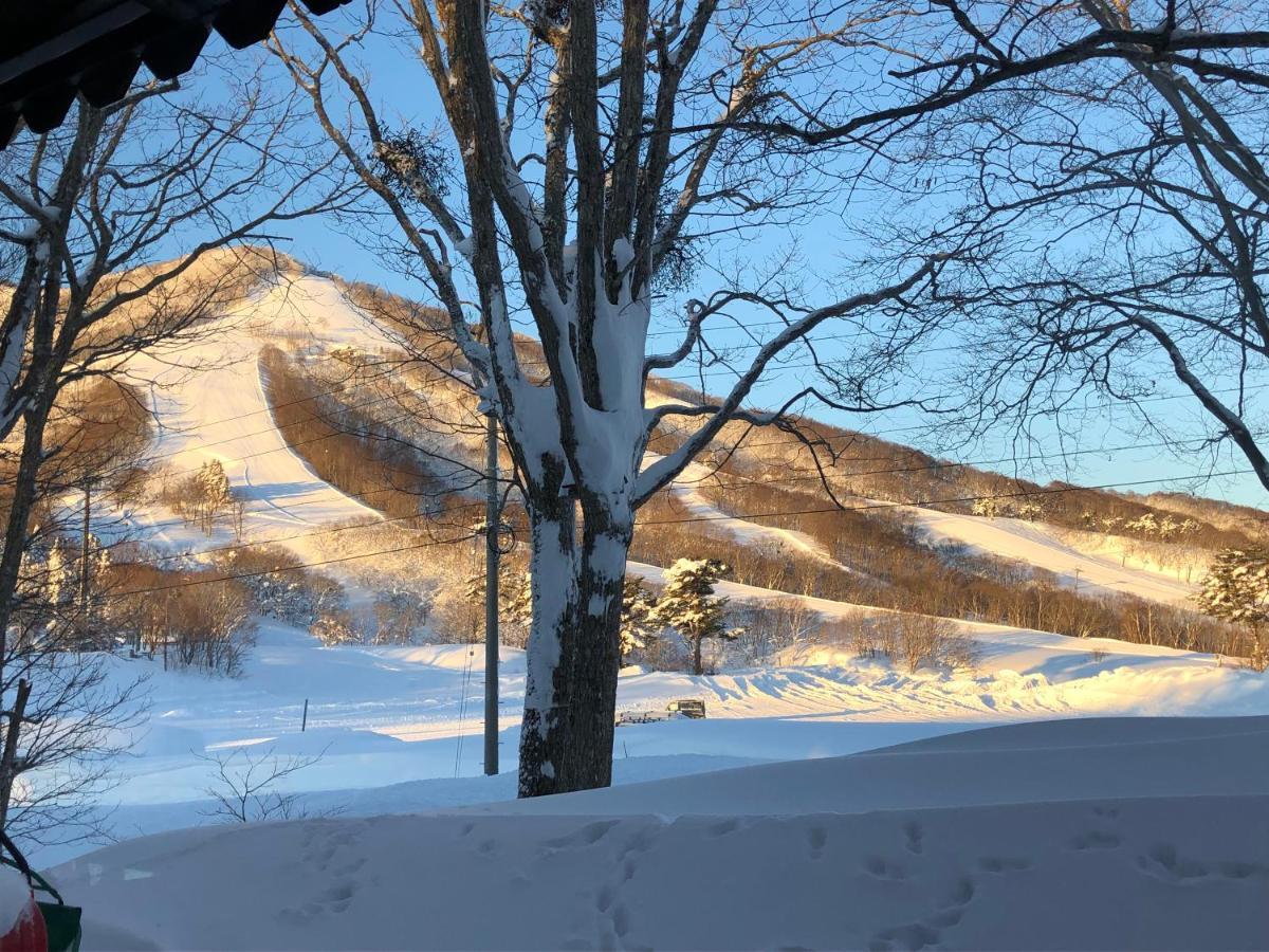Alp Bach Madarao Villa Iiyama Eksteriør billede