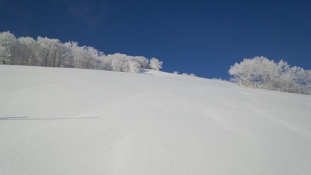 Alp Bach Madarao Villa Iiyama Eksteriør billede